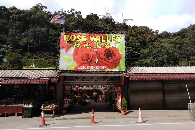 Cameron Highland Private Day Tour - Tea with scones at Cameron Valley or Bharat Tea