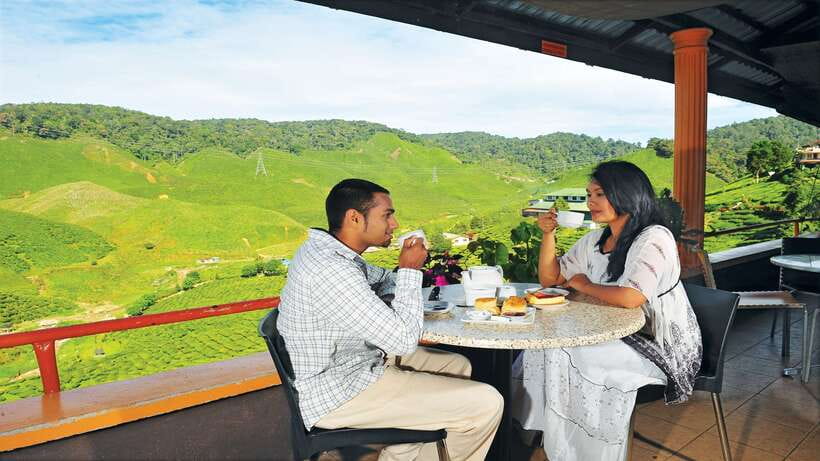 Cameron Highlands 1 Day Tour from Kuala Lumpur - Butterfly, bee, and cactus stops