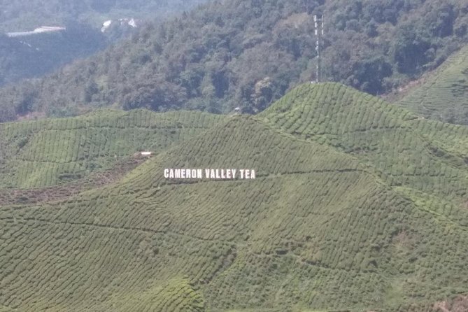 Cameron Highlands 3 Days 2 Night Tours Private (per Vehicle) - Why three days works better than a quick highland visit
