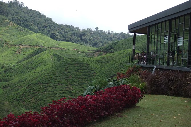 Cameron Highlands Amazing Day Trip Tour with Local Lunch - The road begins at Lata Iskandar waterfall