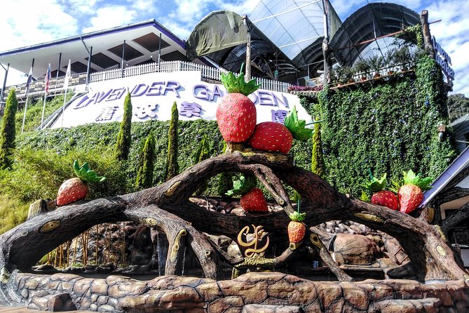 Cameron Highlands Day Trip From Kuala Lumpur - Why this private trip works better than a standard coach
