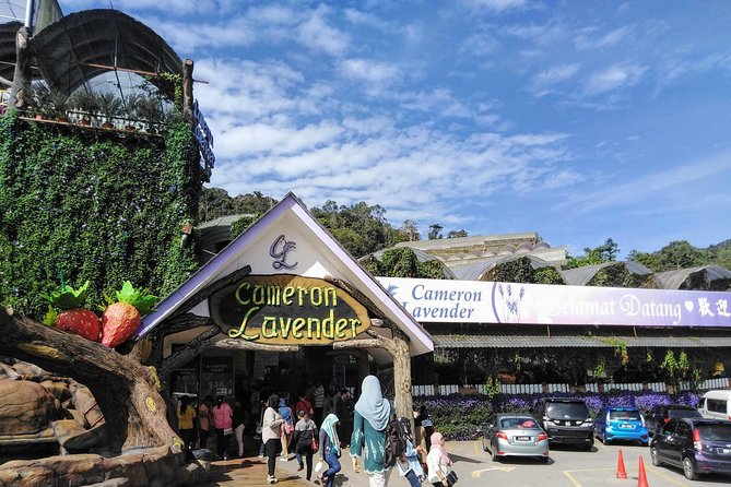 Cameron Highlands Day Trip From Kuala Lumpur - The long climb to Cameron Highlands