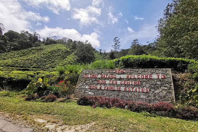 Cameron Highlands Full-Day Nature Tour - Lata Iskandar Waterfall and roadside stalls