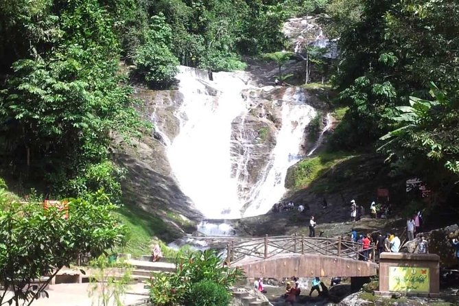 Cameron Highlands Full-Day Nature Tour - Big Red Strawberry Farm and seasonal picking