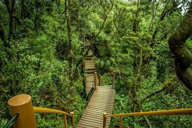 Cameron Highlands Full-Day Tour from Ipoh with Lunch - Key points at a glance