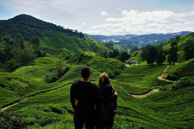 Cameron Highlands Full-Day Tour from Ipoh with Lunch - Sam Poh Temple above Brinchang