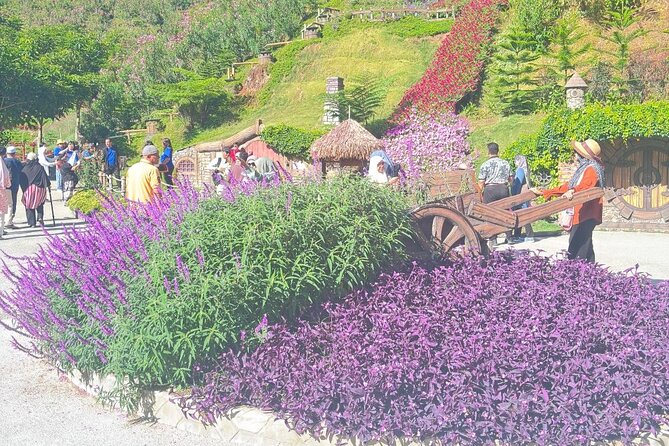 Cameron Highlands Full-Day Tour from Ipoh with Lunch - Kea Farm Market and Cactus Valley