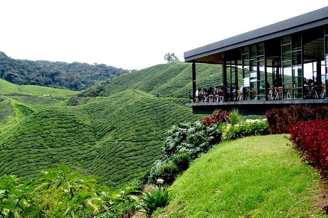 Cameron Highlands Full-Day Tour from Ipoh with Lunch - Bharat Tea Estate and a slower garden stop