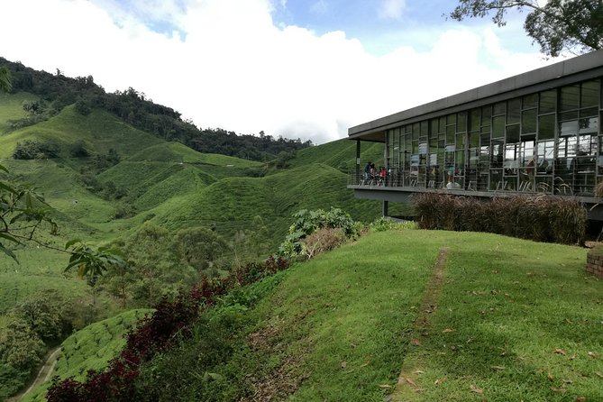 Cameron Highlands, Garden of Nature Full Day Private Guided Tour - Lata Iskandar Waterfall adds a welcome pause