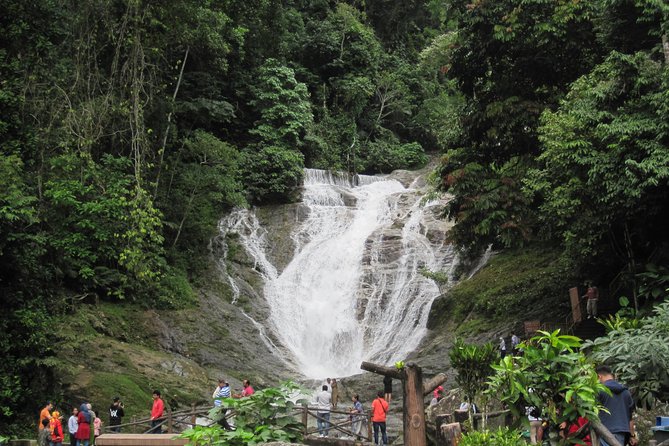 Cameron Highlands, Garden of Nature Full Day Private Guided Tour - The 7:30 am start and private ride
