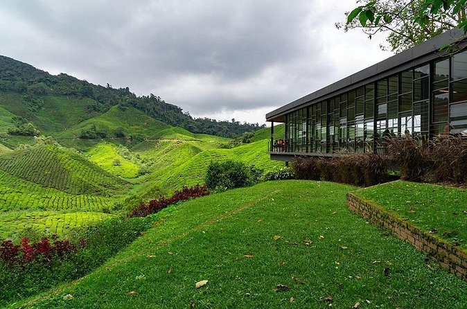 Cameron Highlands One Day Trip from Kuala Lumpur Privately Organised - The private format and guide Anuar