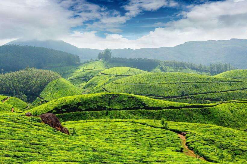 Cameron Highlands Private Day Trip - Key points to know before booking