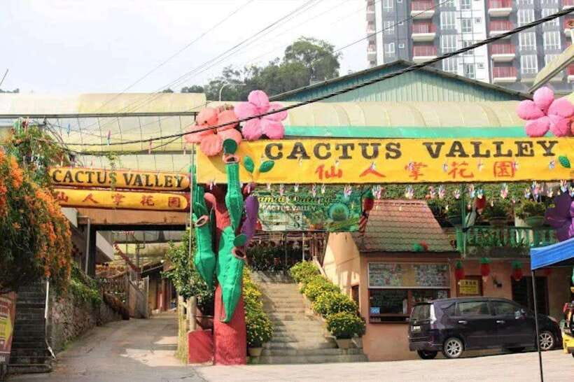 Cameron Highlands Private Day Trip - Big Red Strawberry Farm: a sweeter stop