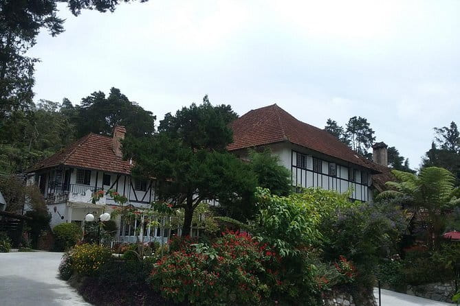 Cameron Highlands Sightseing Tour - Mossy Forest and the longer nature routes