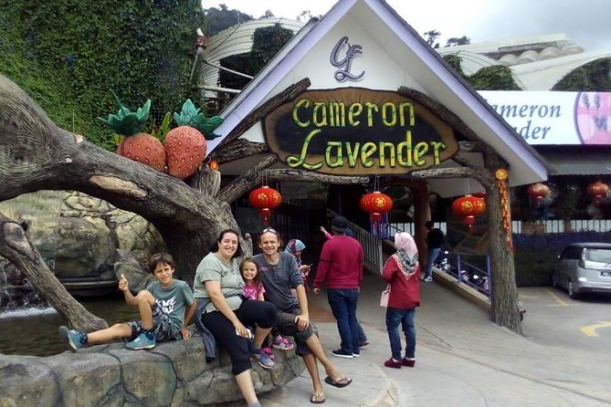 Cameron Highlands Sunrise Discovery - Should You Book Cameron Highlands Sunrise Discovery?