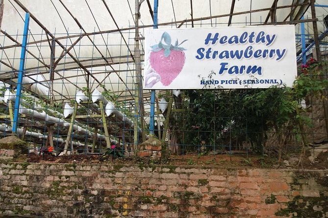 Cameron Highlands Tour From Kuala Lumpur (Private Tour) - BOH Tea Centre is the scenic highlight