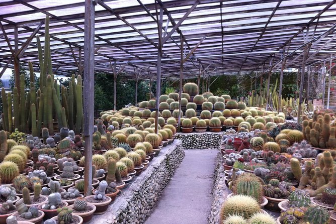 Cameron Highlands Tour From Kuala Lumpur (Private Tour) - Sam Poh Temple brings a quieter change of pace