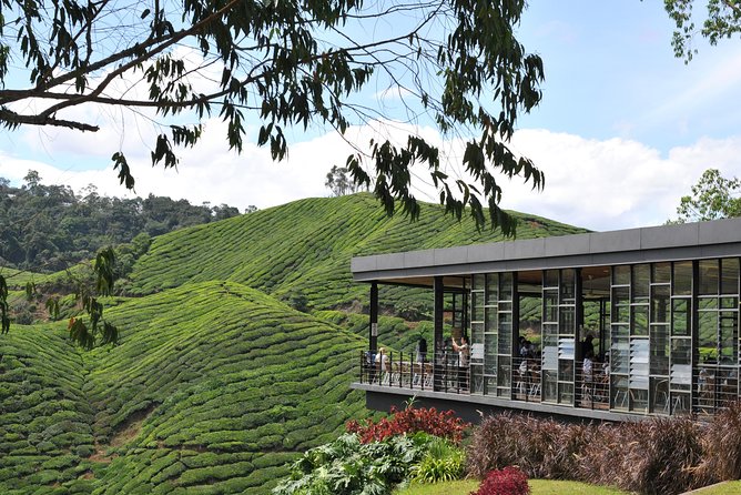 Cameron Highlands Tour From Kuala Lumpur (Private Tour) - Ringlet and the farming side of Cameron Highlands