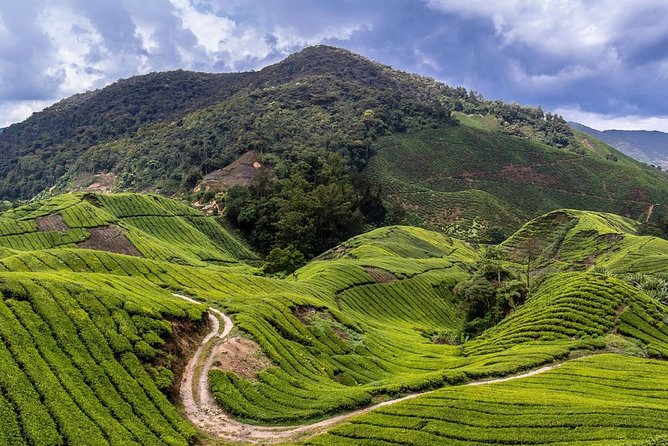 Cameron Highlands Tour on Private Basis - Butterfly Park and the insect garden