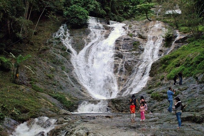 Cameron Highlands Tour on Private Basis - Lata Iskandar Waterfall and the forest stop