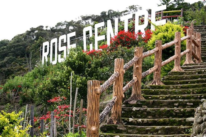 Cameron Highlands Tour on Private Basis - Lunch and the practical value of a private day