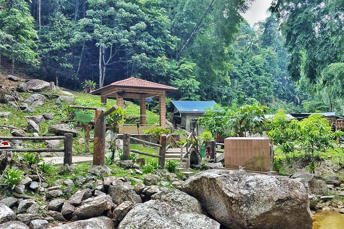 Cameron Highlands with Lunch Guided Day Tour (SIC/Shared Tour) - Is $83 a fair price?