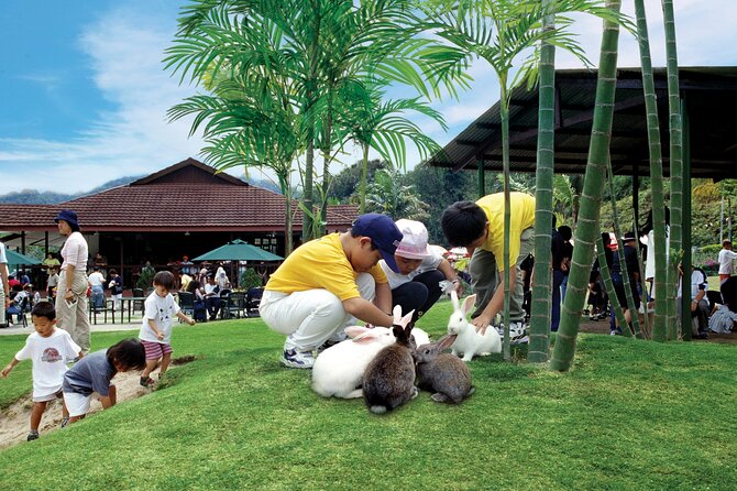 Colmar Tropicale and Batu Caves Day Trip (SIC - Join In Tour) - What to bring, wear, and leave behind