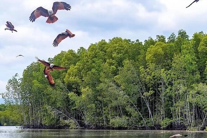 Combo - Cable Car & Sky Bridge And Tg. Rhu Mangrove Private Boat Tour With Lunch - Transport, timing, and the private-tour advantage