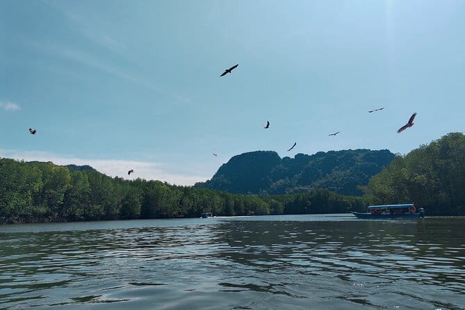 Combo Langkawi Cable Car & Sky Bridge With Mangrove Private Boat - Riding the Steep SkyCab to Mount Machinchang