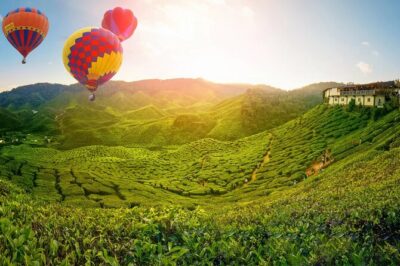 Day Trip to Cameron Highlands: Nature Escape from Kuala Lumpur