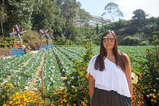 Elevate Your Senses: A Day of Wonders in Cameron Highlands! - Butterflies, insects, and a gentle first stop