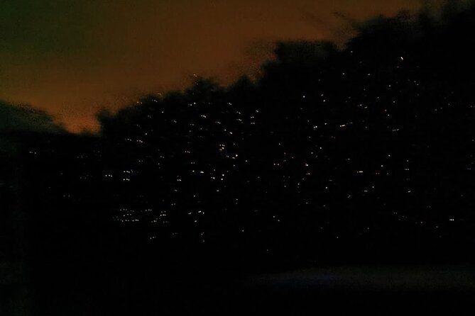 Fireflies & Silver leaf monkey Gazing tour - Guides can make or break the experience