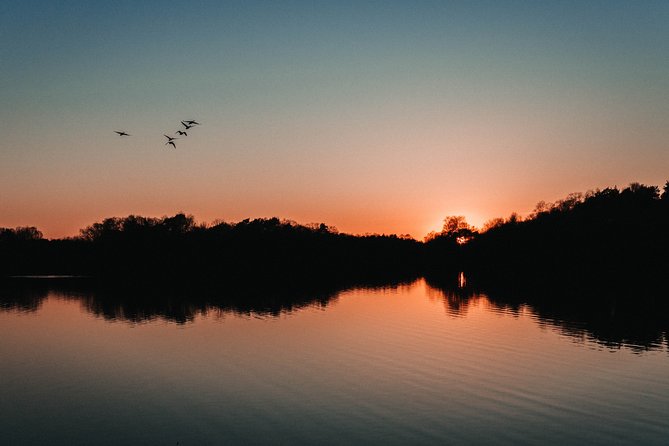 Fireflies Tour in Cherating - A quiet night on the Cherating River
