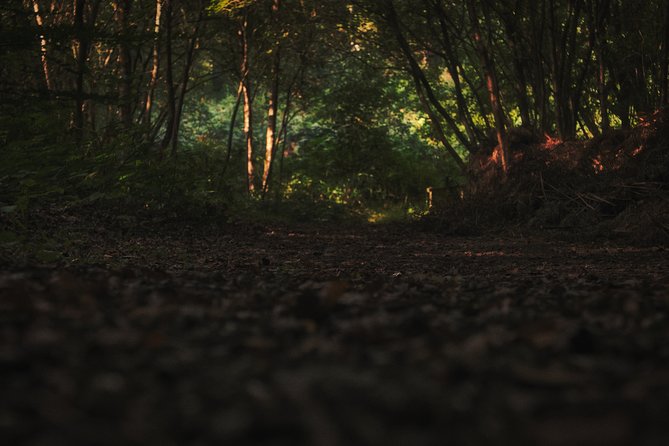 Fireflies Tour in Cherating - The guide makes more difference than the boat