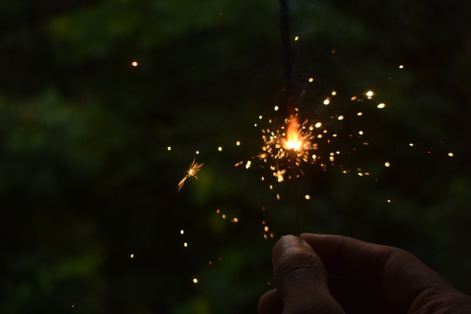 Fireflies Tour in Cherating - Price and value at $18 per person