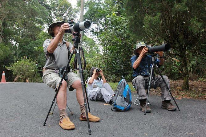 Fraser's Hill Bird-Watching & Nature Sightseeing Tour from Kuala Lumpur - The 5:30am departure from Kuala Lumpur