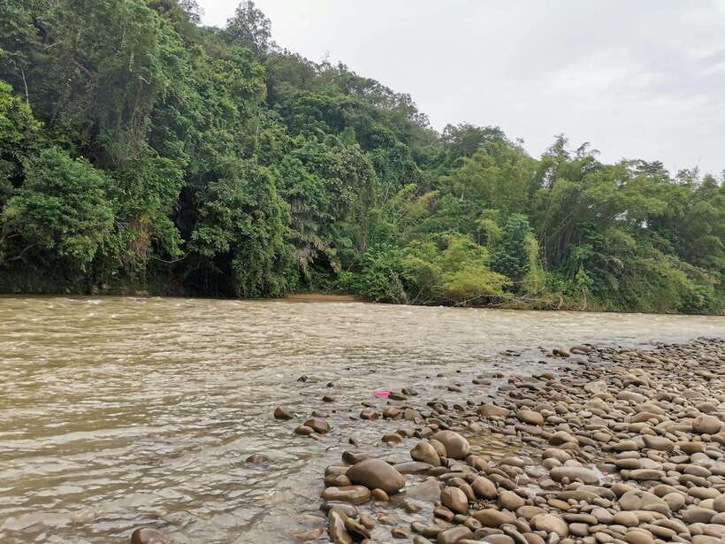 From Kota Kinabalu : Kiulu White Water Rafting Tour + meal - Two hours through Kiulu’s rapids