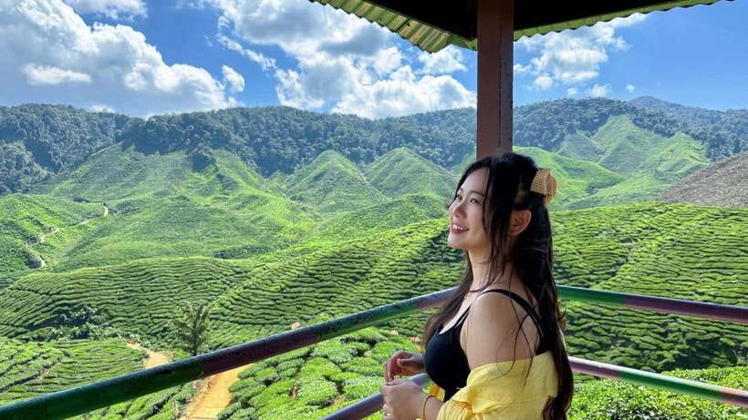 From Kuala Lumpur: Cameron Highlands Day Tour with Lunch - Why Cameron Highlands works as a day trip from Kuala Lumpur
