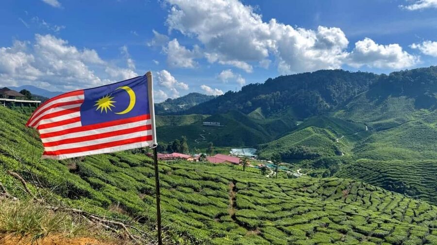From Kuala Lumpur: Cameron Highlands Day Tour with Lunch - Lunch with local flavors and mountain views