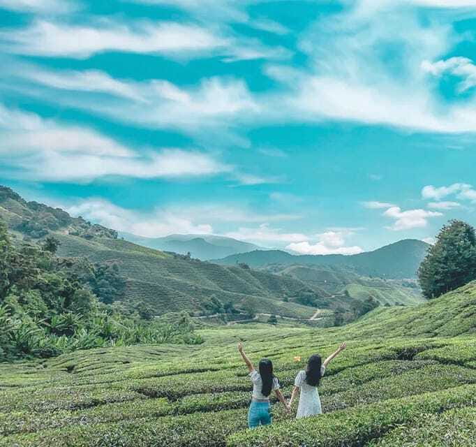 From Kuala Lumpur: Cameron Highlands Day Trip with Transfers - Why this Cameron Highlands day trip works