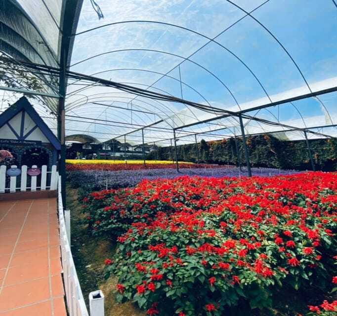 From Kuala Lumpur: Cameron Highlands Day Trip with Transfers - Ending among the cacti