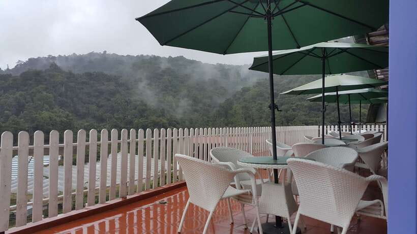 From Kuala Lumpur: Cameron Highlands Full-Day Tour - Why this makes sense as a Kuala Lumpur day trip