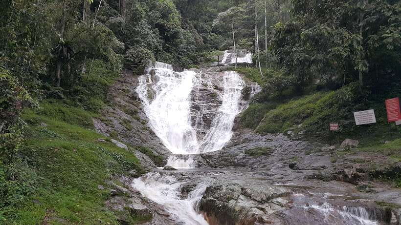From Kuala Lumpur: Cameron Highlands Full-Day Tour - Bharat Tea Farm is the highlight