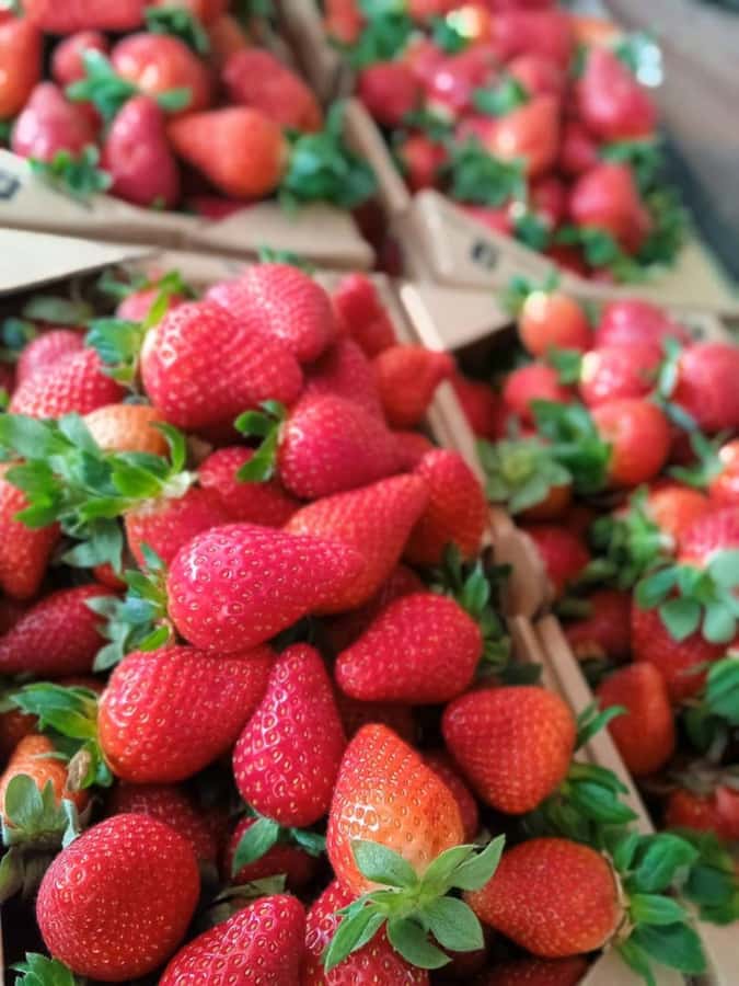 From Kuala Lumpur: Cameron Highlands Private or Join In Tour - Key points to know before booking