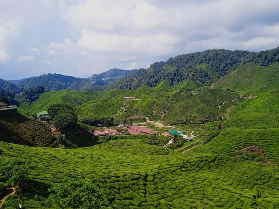 From Kuala Lumpur: Cameron Highlands Private or Join In Tour - Why a day in Cameron Highlands works from Kuala Lumpur