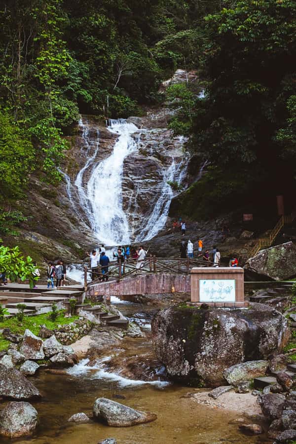 From Kuala Lumpur: Cameron Highlands Private or Join In Tour - Flora Park brings the best photo opportunities