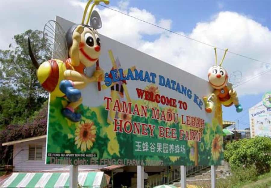 From Kuala Lumpur: Cameron Highlands Private or Join In Tour - Butterfly Farm, bee farm, and cactus stop