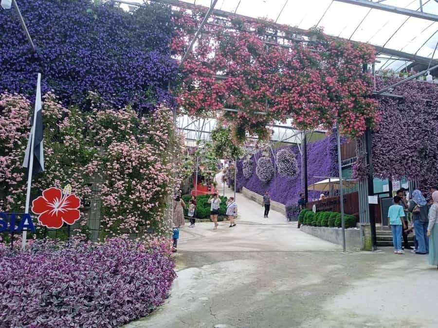From Kuala Lumpur: Cameron Highlands Private or Join In Tour - The drive to Lata Iskandar Waterfall