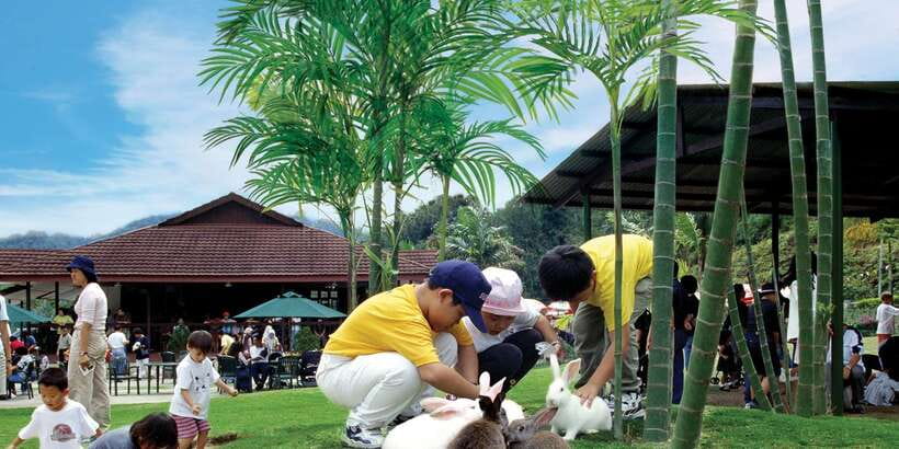From Kuala Lumpur: Colmar Tropicale and Batu Caves Day Trip - Rabbit Park: a point to consider carefully