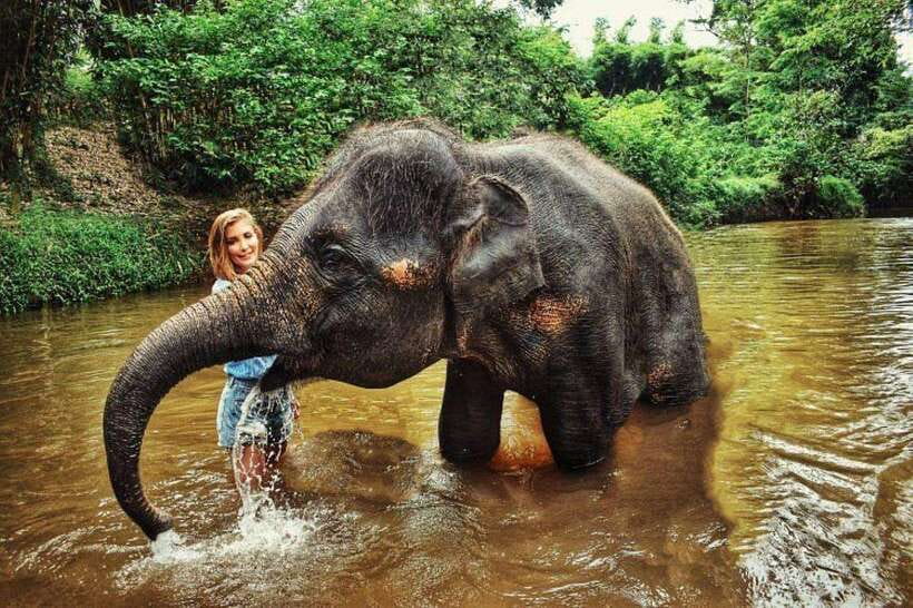 From Kuala Lumpur: Elephant Sanctuary Guided Tour - Key points at a glance